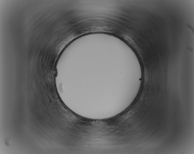 X0000100851089200807181051