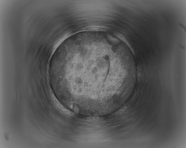 X0000100851091200807181051