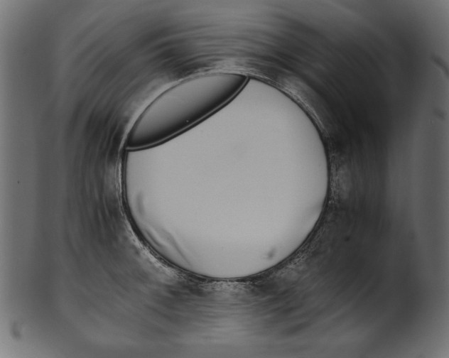 X0000100851092200807181051