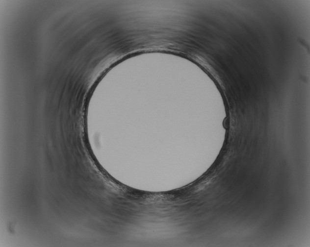 X0000100851093200807181051