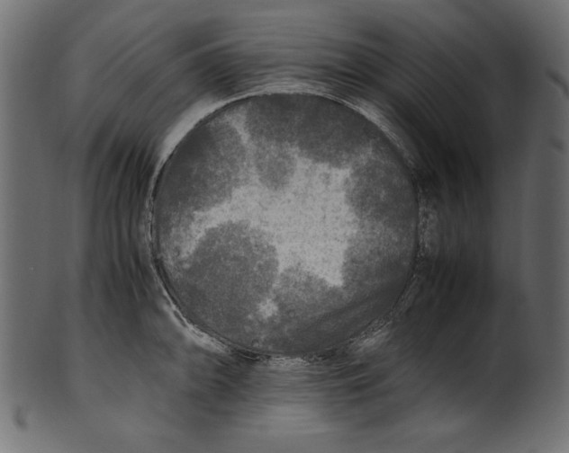 X0000100851094200807181051