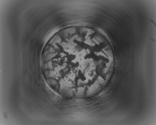 X0000100851095200807181051