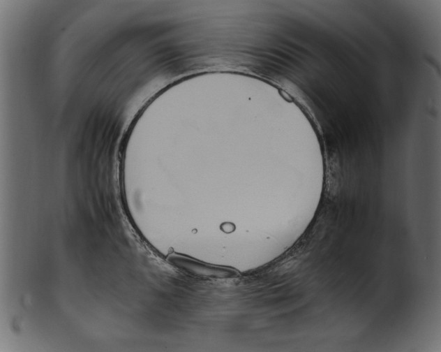X0000100851096200807181051
