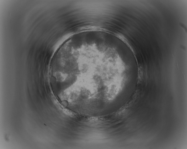 X0000100851098200807181051