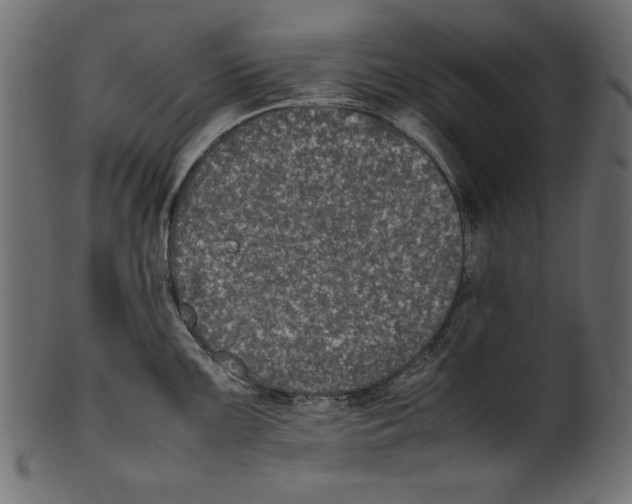 X0000100851099200807181051