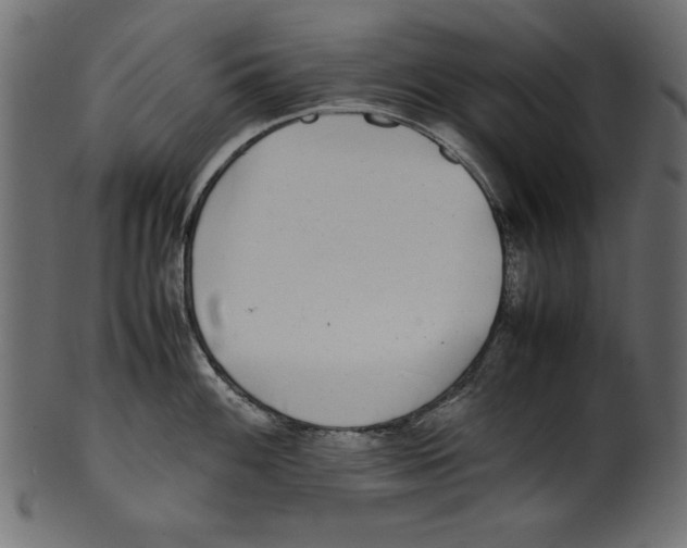 X0000100851100200807181050