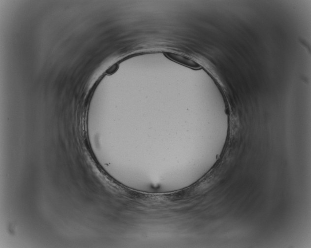 X0000100851101200807181050