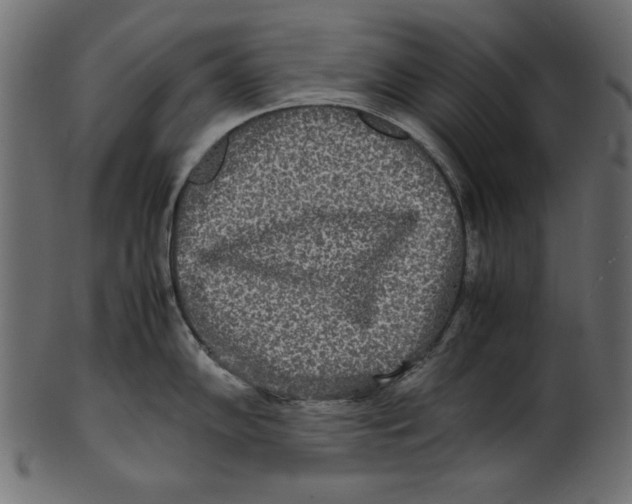 X0000100851102200807181050
