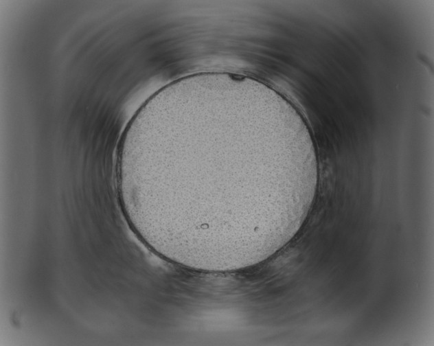 X0000100851103200807181050