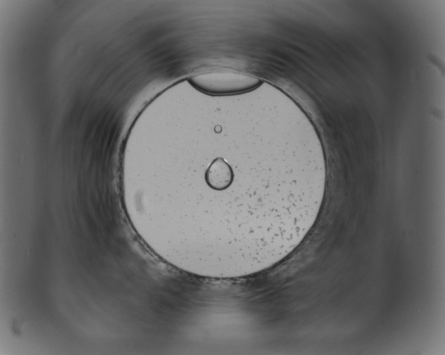 X0000100851104200807181050