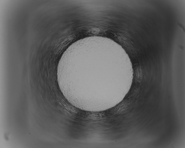 X0000100851105200807181050