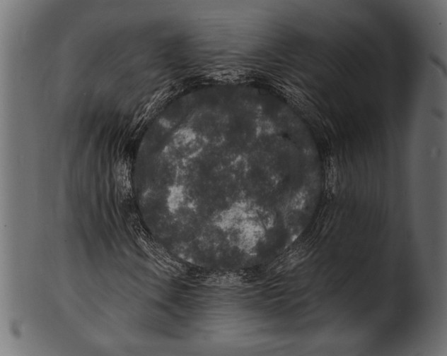 X0000100851106200807181050