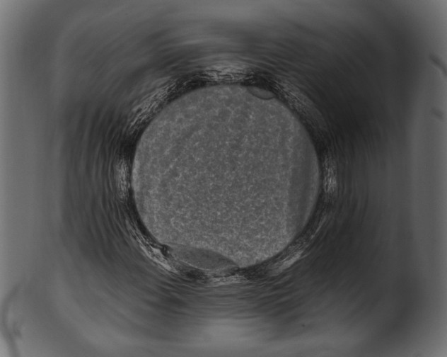 X0000100851108200807181050