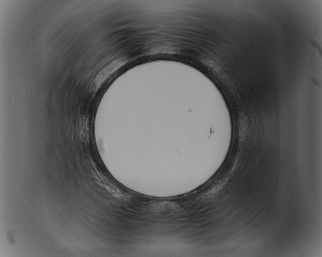 X0000100851113200807181050
