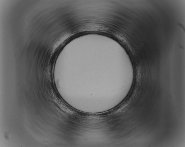 X0000100851114200807181050