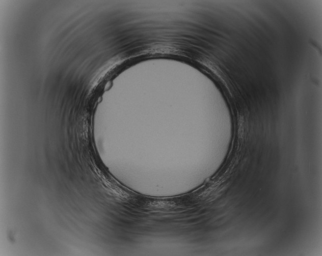 X0000100851115200807181050