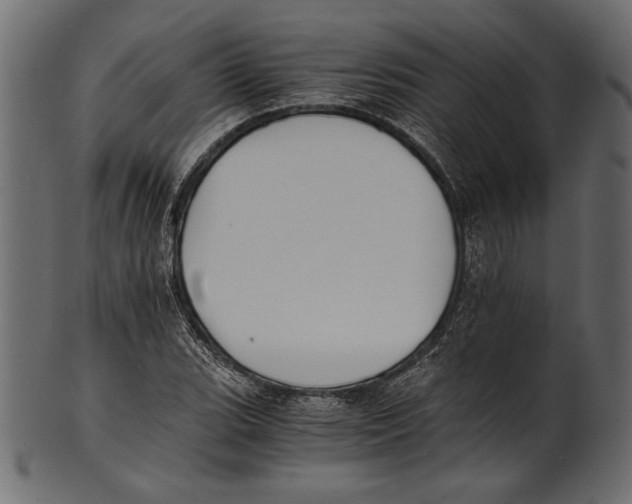 X0000100851119200807181050
