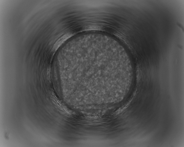 X0000100851121200807181050