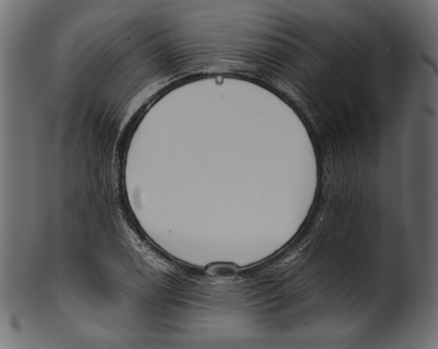 X0000100851122200807181050