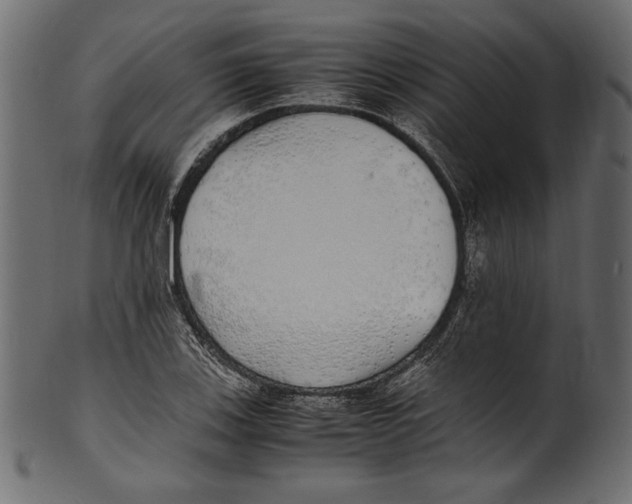 X0000100851123200807181050