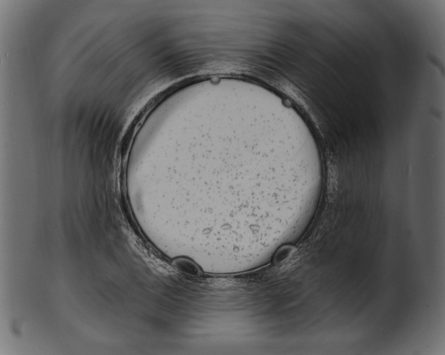 X0000100851124200807181050