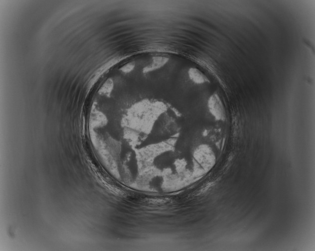 X0000100851125200807181050