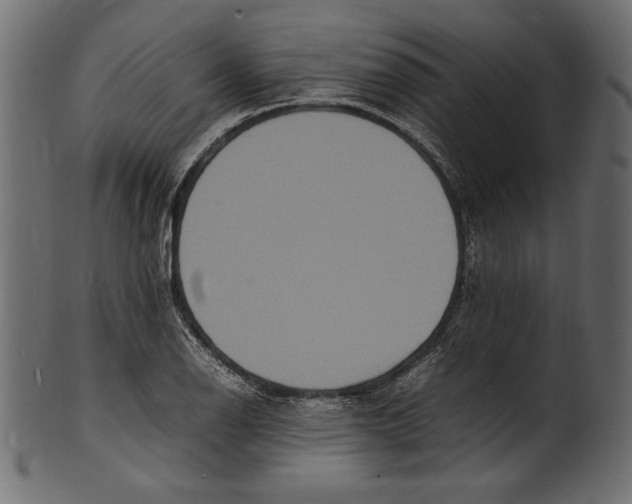 X0000100851126200807181050