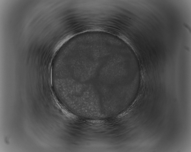 X0000100851127200807181050