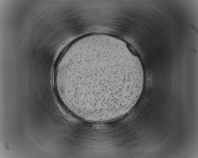 X0000100851128200807181050