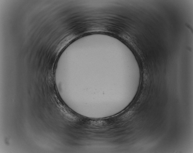 X0000100851129200807181050