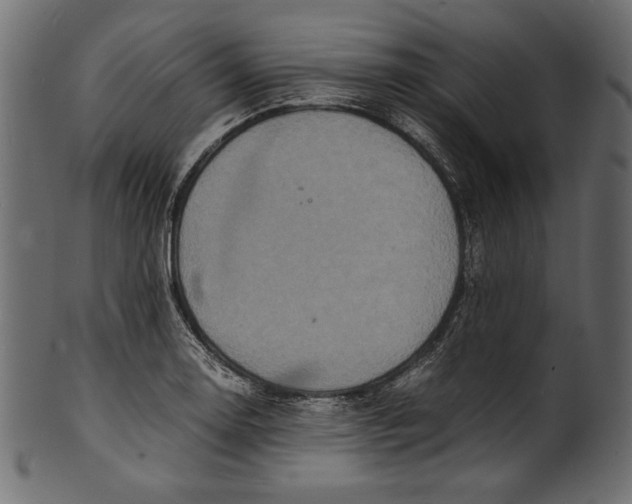 X0000100851130200807181050