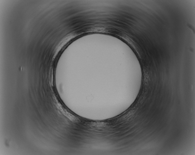 X0000100851131200807181050