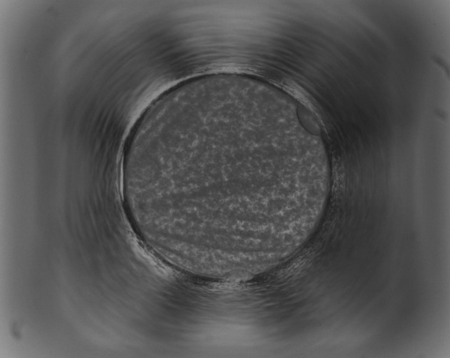 X0000100851132200807181050
