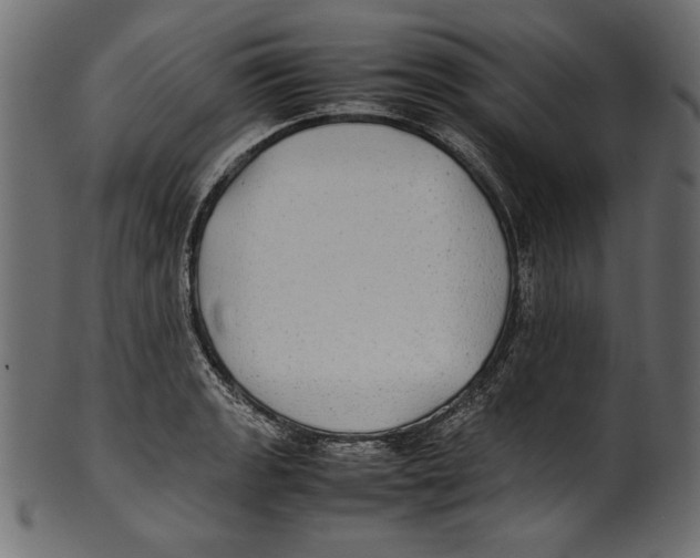 X0000100851133200807181050