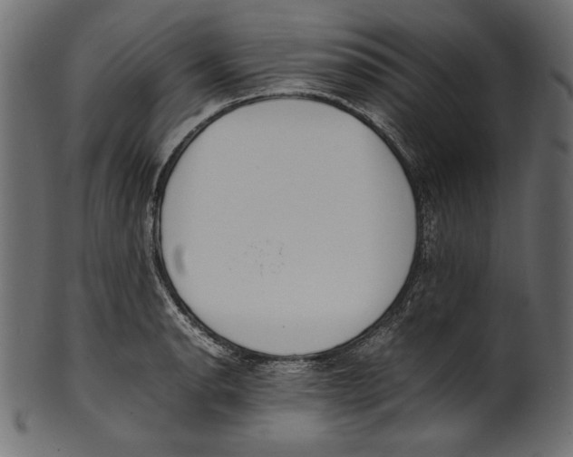 X0000100851134200807181050