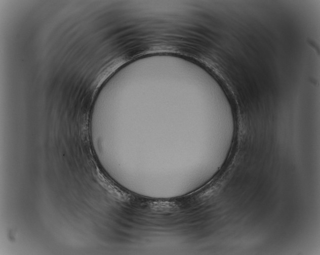 X0000100851137200807181050