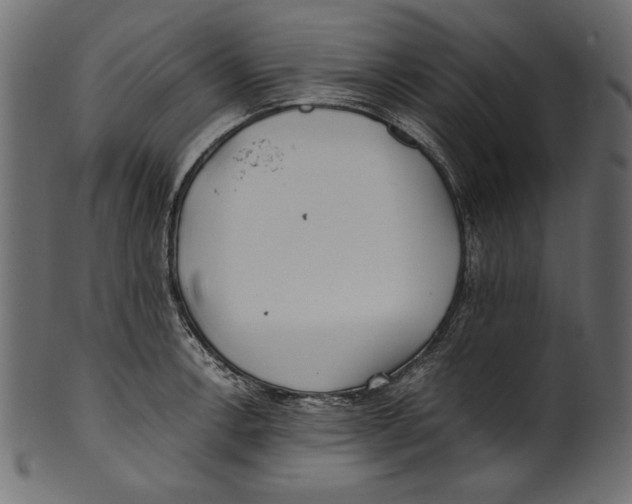 X0000100851138200807181050