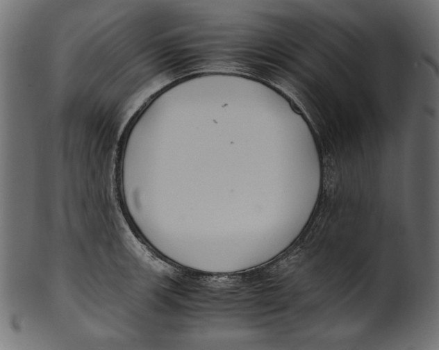 X0000100851139200807181050