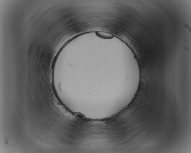 X0000100851140200807181050