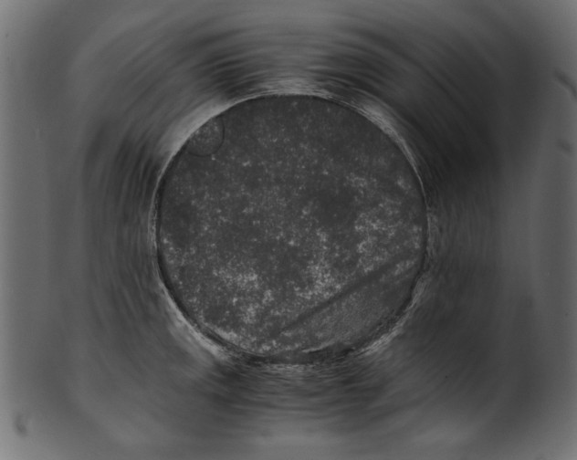 X0000100851141200807181050