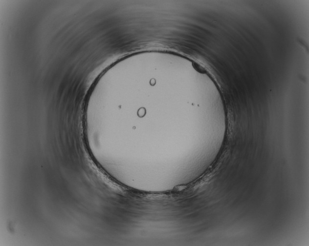 X0000100851142200807181050