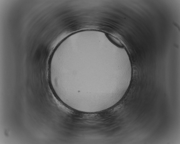 X0000100851143200807181050