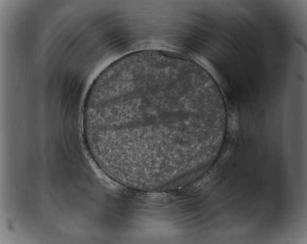 X0000100851144200807181050