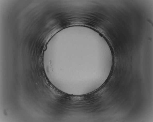 X0000100851145200807181050