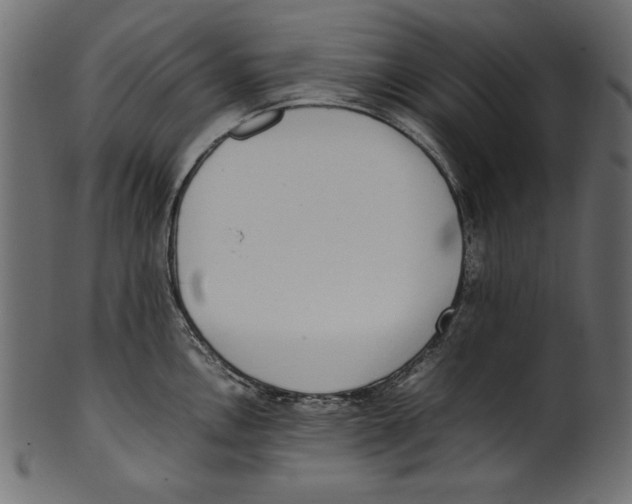 X0000100851146200807181050