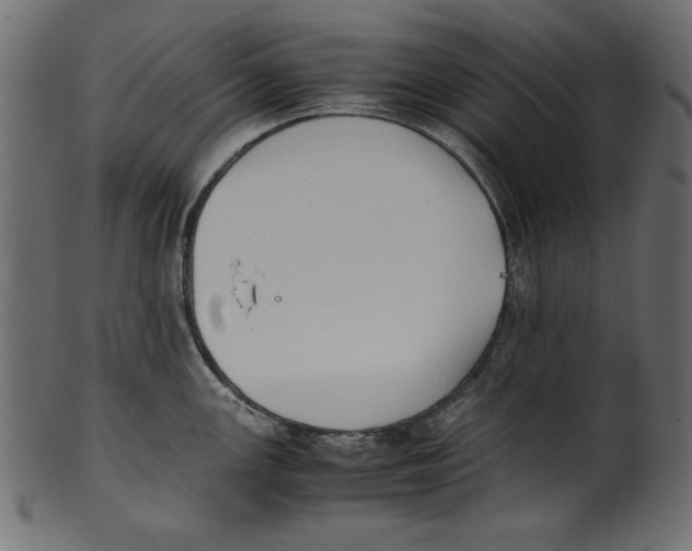 X0000100851147200807181050