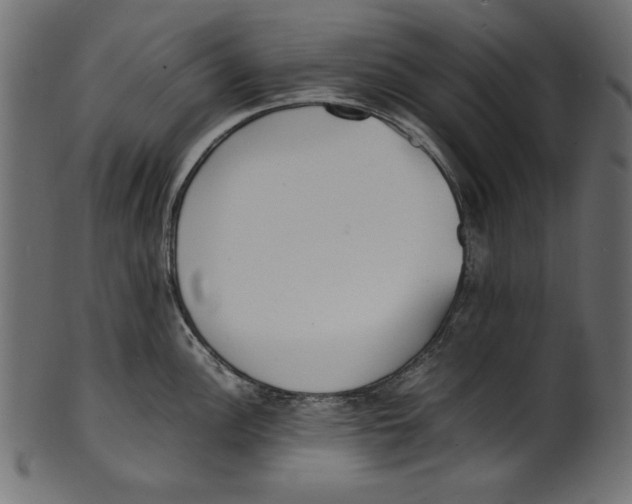 X0000100851148200807181050