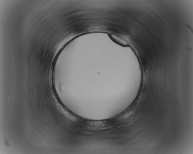 X0000100851149200807181050