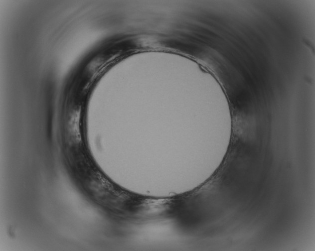 X0000100851150200807181050
