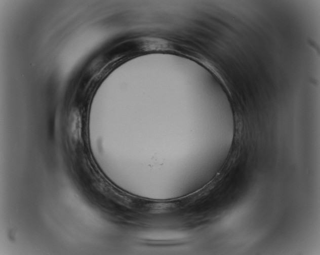 X0000100851151200807181050